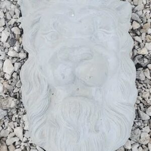 Lion Face