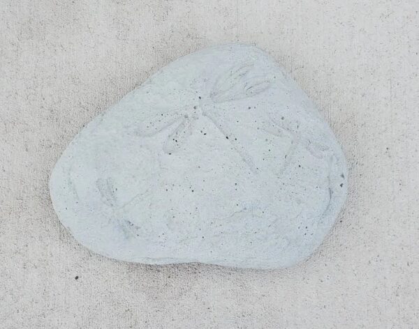 DragonFly Stone