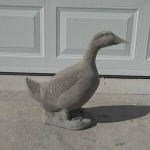 Standing Duck