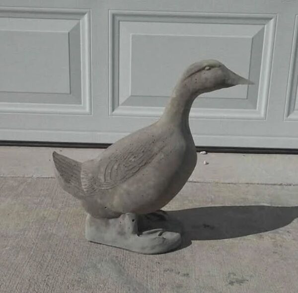 Standing Duck