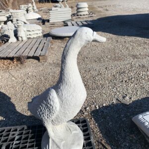 Large Goose