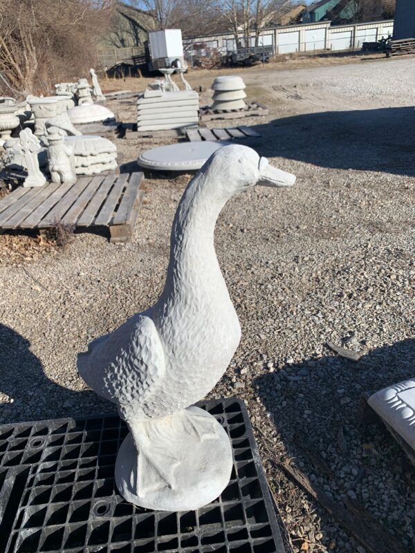 Large Goose