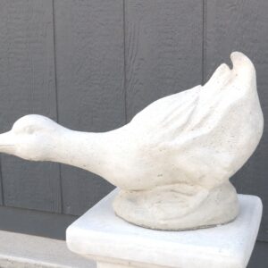 Duck Head Down
