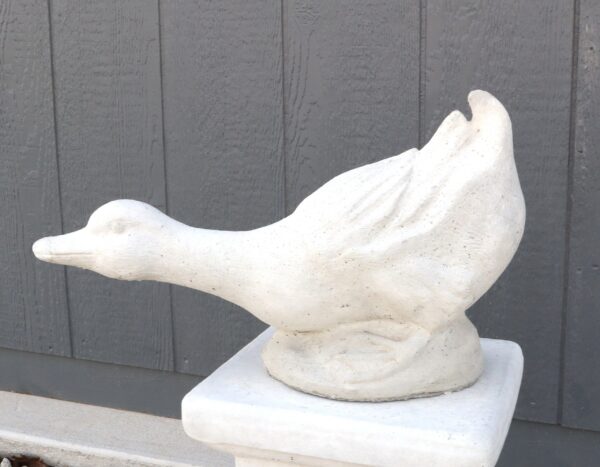 Duck Head Down