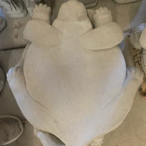 Flat Dog Stepping Stone