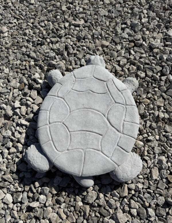 Flat Turtle Stepping Stone