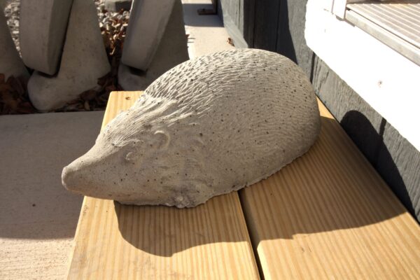 Hedge Hog Large