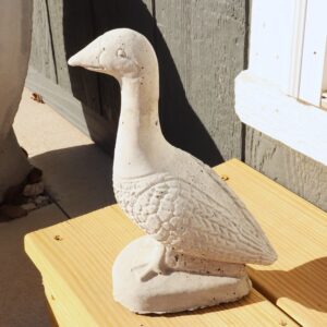 Baby Duck