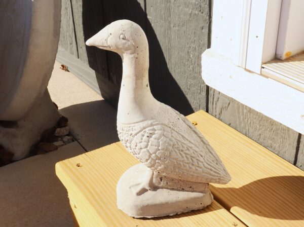 Baby Duck