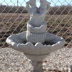 1 Shell Bird