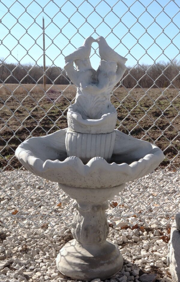 1 Shell Bird