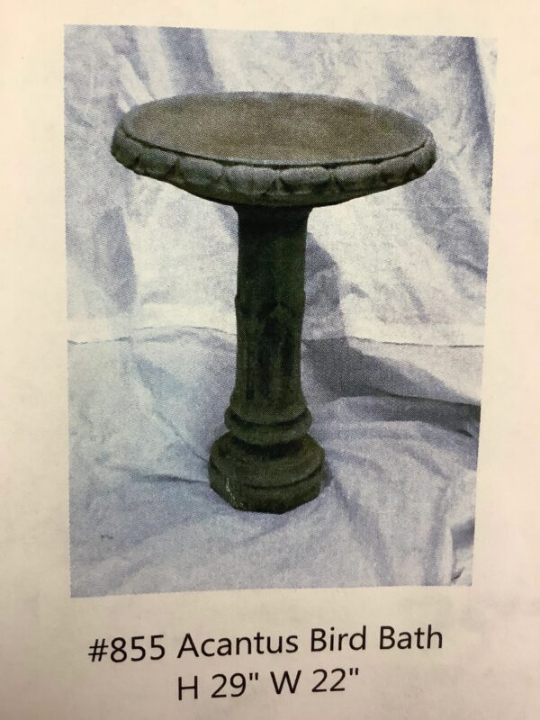 Acantus Bird Bath
