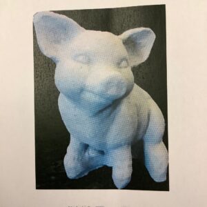 Tiny Pig