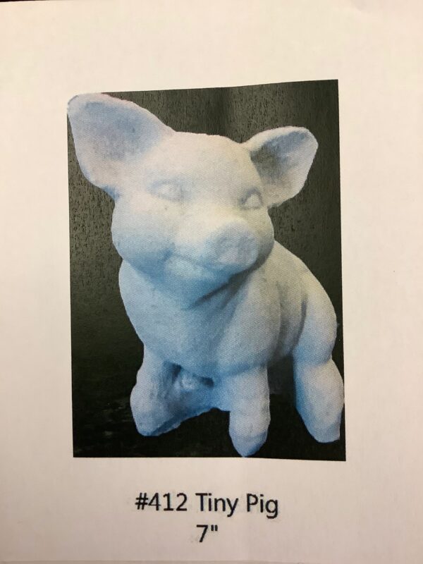 Tiny Pig