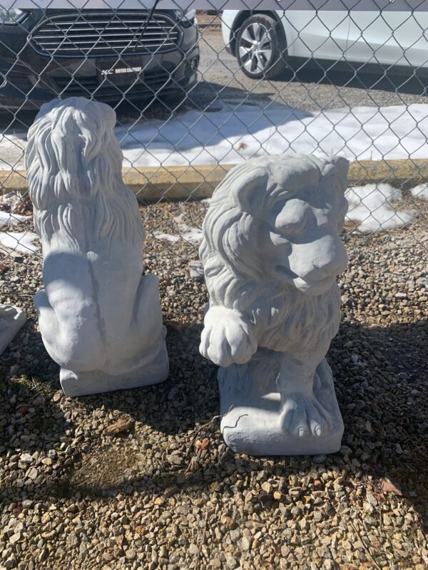 Lion Right Paw Up
