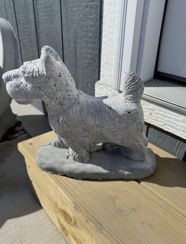 Scottish Terrier 11"