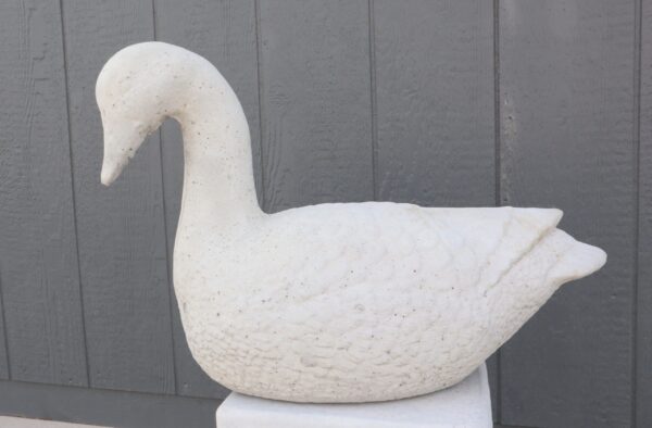 Sitting Goose
