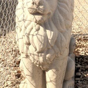 Lion Lg. Sitting