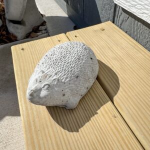 Hedge Hog -Small