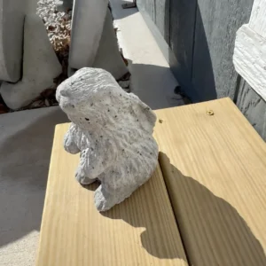 Small Sitting Bunny
