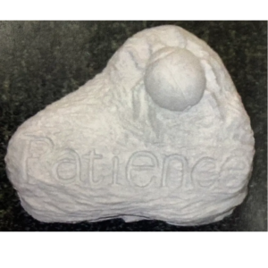 Patience Stone
